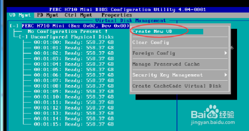 Dell R720服务器 Raid配置
