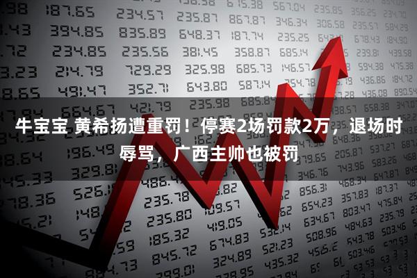 牛宝宝 黄希扬遭重罚！停赛2场罚款2万，退场时辱骂，广西主帅也被罚